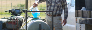 Recently discovered organic herbicide shown to be safe and effective against nearly all invasive weeds! herbicide